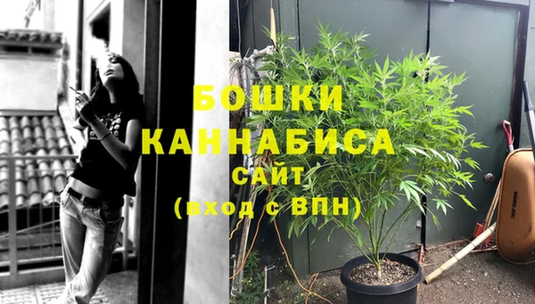 ешки Гусь-Хрустальный