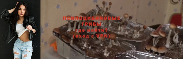 ешки Гусь-Хрустальный
