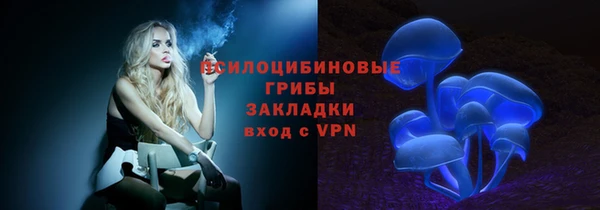 ешки Гусь-Хрустальный
