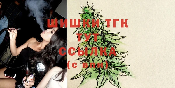 ешки Гусь-Хрустальный