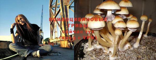 марки nbome Гусев