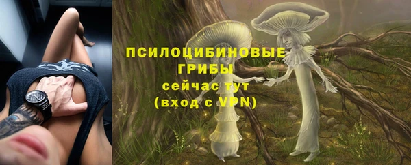 ешки Гусь-Хрустальный