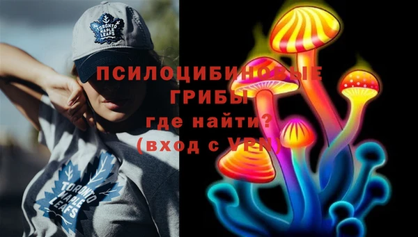 ешки Гусь-Хрустальный