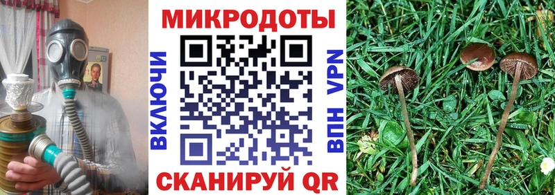 Галлюциногенные грибы Magic Shrooms  Елизово 